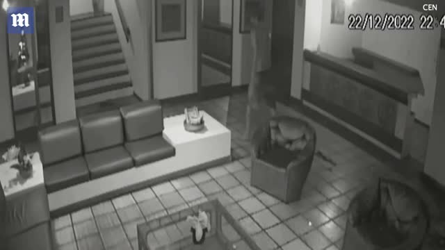 I droguari ne Brazil