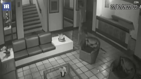 I droguari ne Brazil