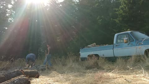 Cutting and splitting fire wood for winter season