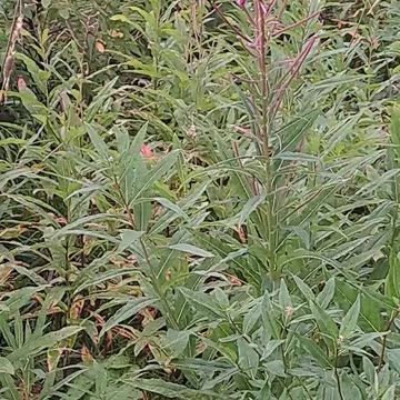 We believe in Climate Change, just look at what is happening here.