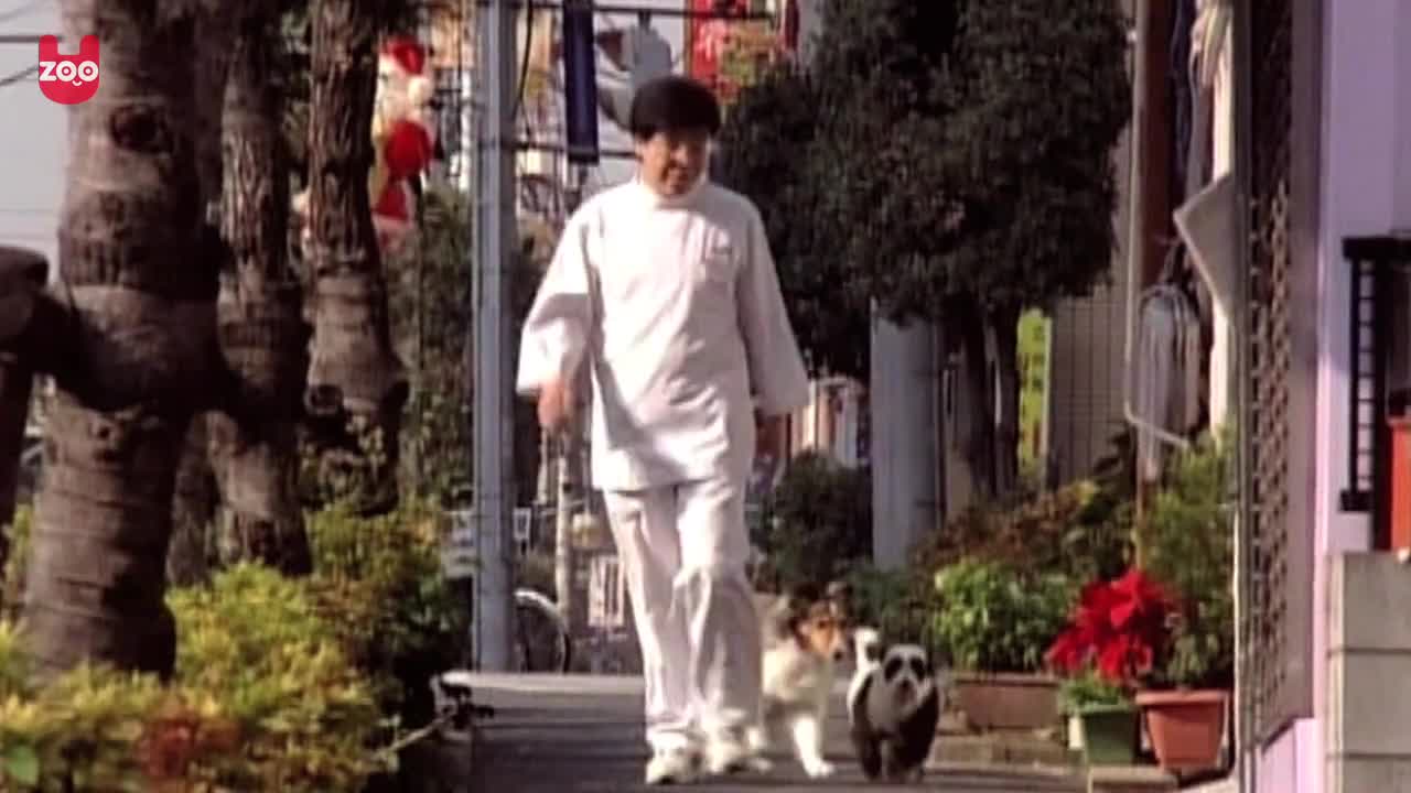 Dog Becomes Panda