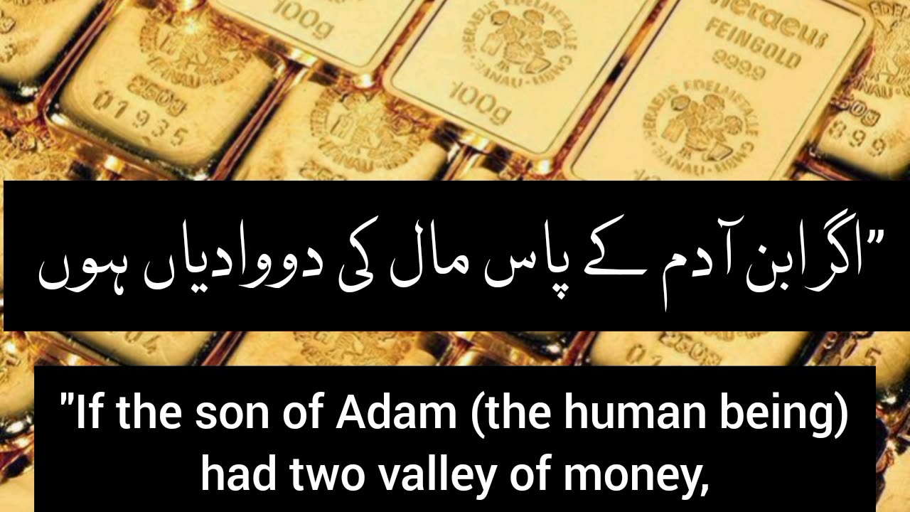 Hadees About Wealth | Hadees In Urdu | Hadees Of The Day | Muslim Status