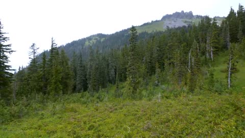 Mount Rainier National Park - Nature Relax Video, Summer Scenery