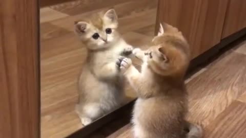 So Cute