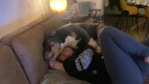 When your sister is as crazy as your bulldog!