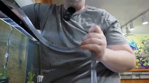 How to properly Gravel vacuum a fish Tank