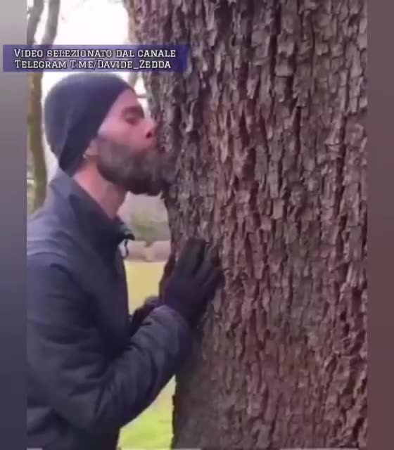 Era da tempo che volevo mostrarvi questo video, che per essere compreso in tutta la sua follia..