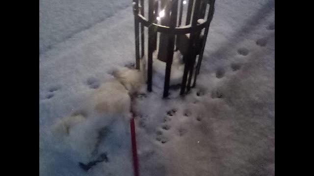 winter walk