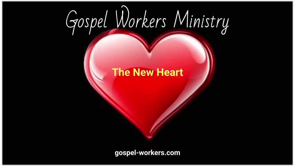 The New Heart