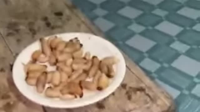 SHARING IS CARING BUT PLS DONT GET HER FOOD.