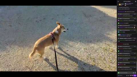 2023-03-28 (5bis) - Perdu dans le cimetière - Twitch Triskelina (version avec chat)