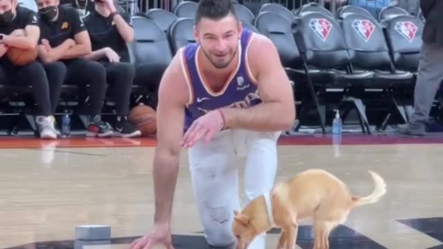 Dog Balances On Basket Ball
