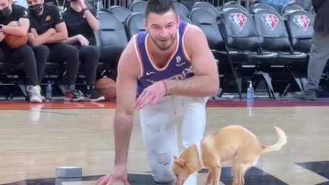 Dog Balances On Basket Ball