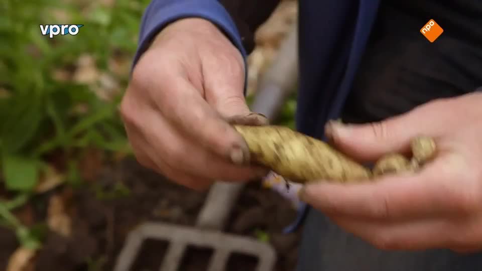 Maartens Moestuin deel 8/10. Tuinbonen, erwten en bramen.