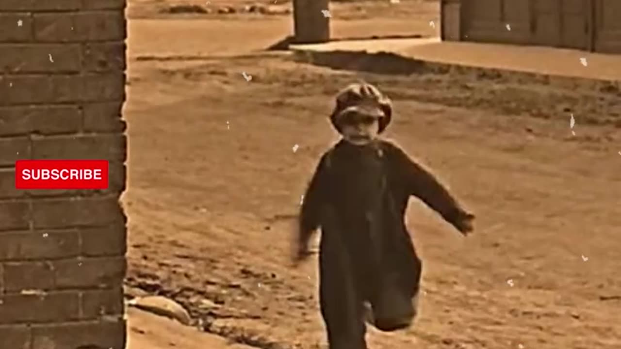 King of comedy/ Chaplin/🤣🤣🤣