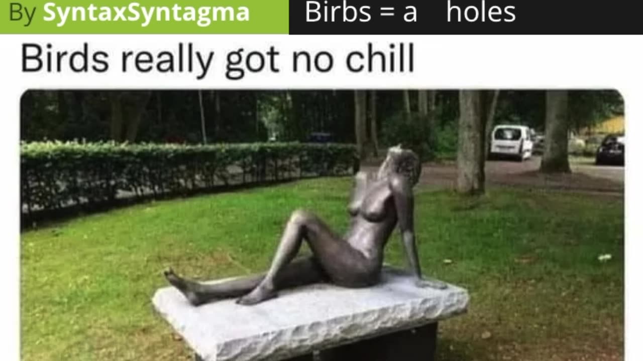 Birds really got no chill 🦆💩