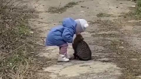 Friendship between human and kitten