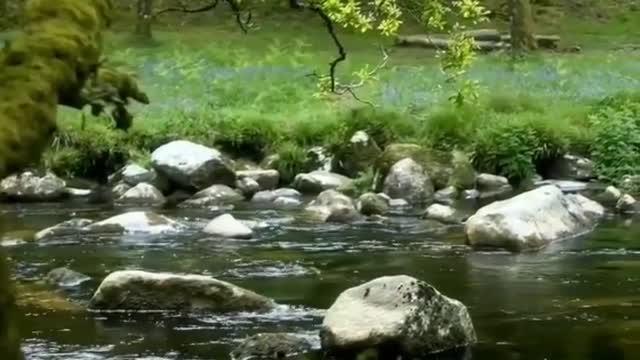 Nature sound for relaxing, meditation music