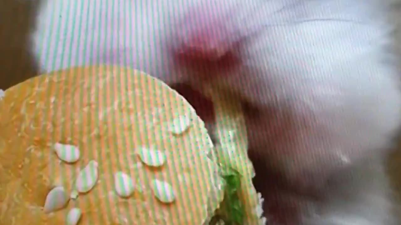 HAMSTER BURGER? YUMMY!