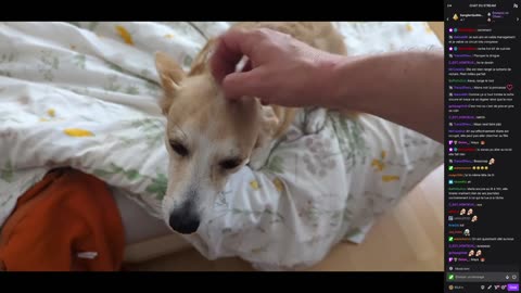 2023-03-30 (1bis.6) - 'Jusqu'au 3 juillet pour vider la maison' - Twitch Meutemediatique (avec chat)