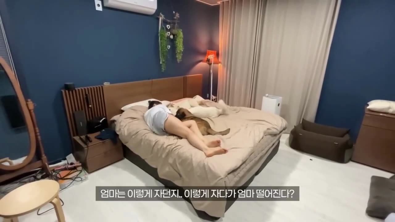 I fell asleep alone. I woke up because I was uncomfortable, and the dog's behavior was ridiculous.