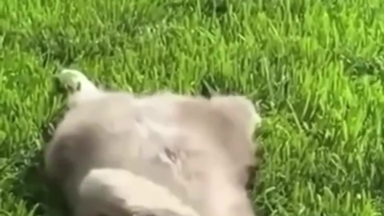 Why did she do that๐๐ | Ahtishamzxc