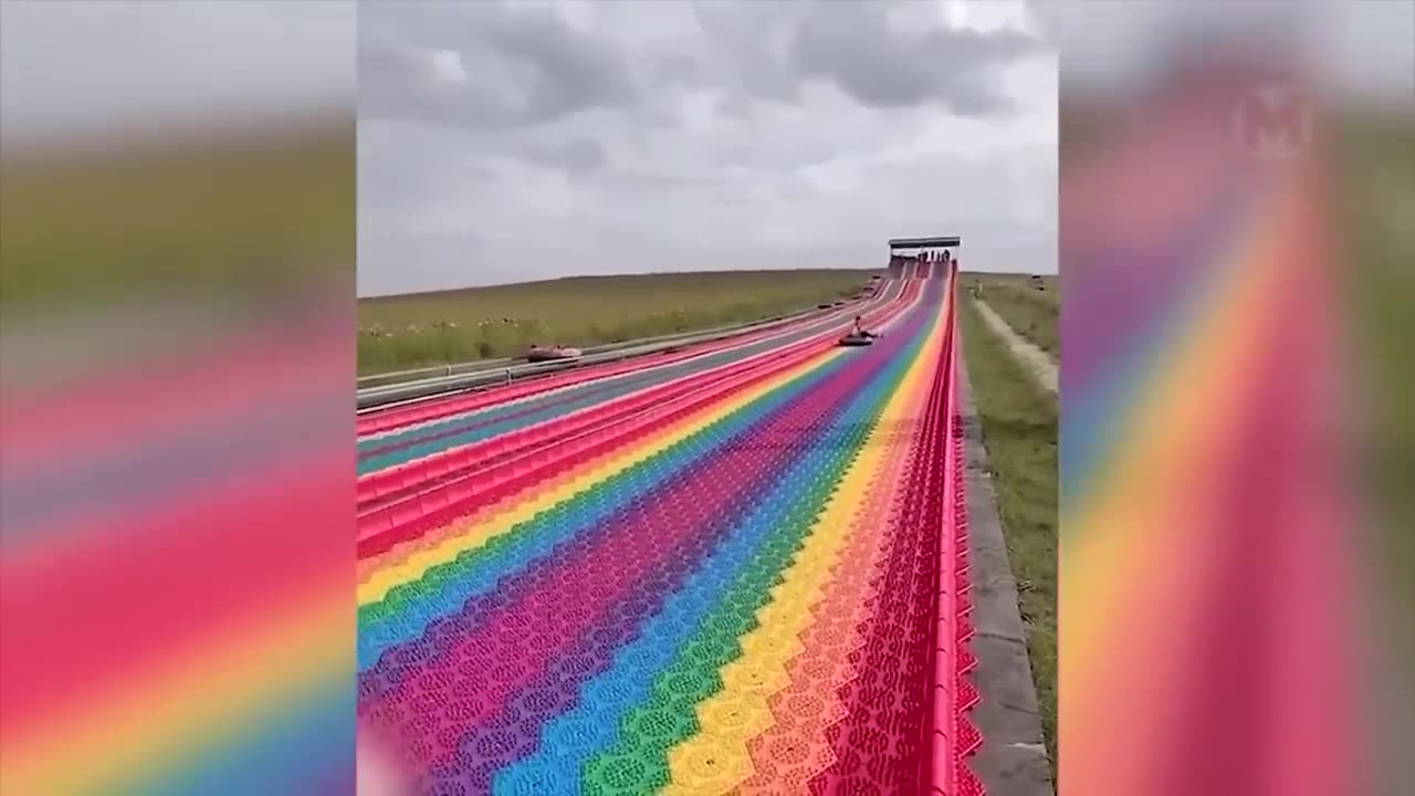 funny videos
