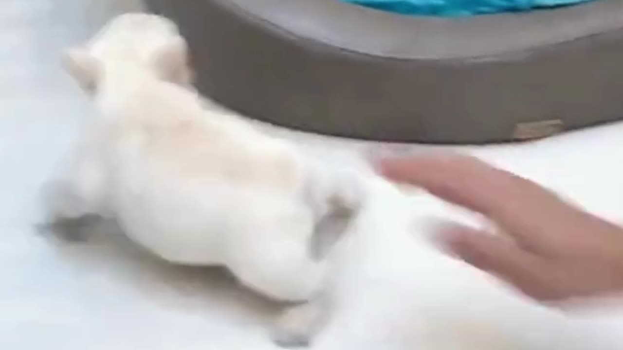 TINY BUT MIGHTY!!! :)