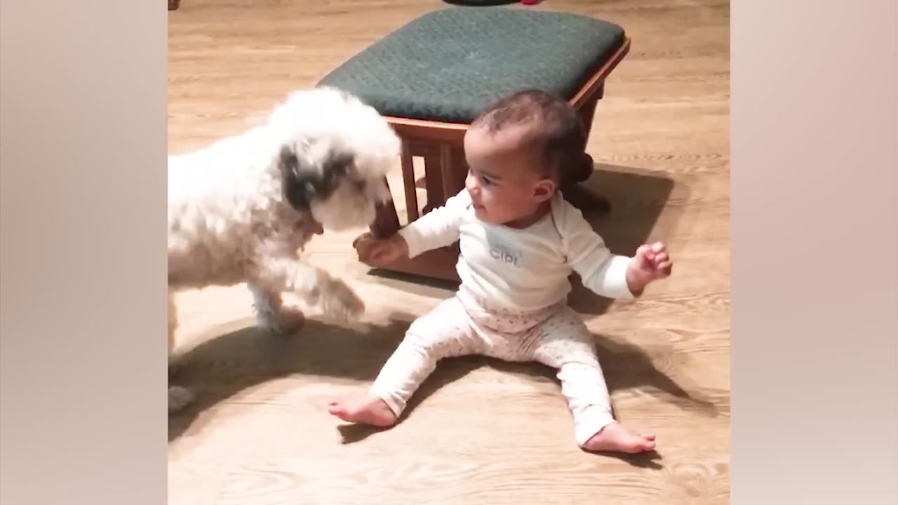 Best video of Cute Babies and Pets Funny Baby and Pet