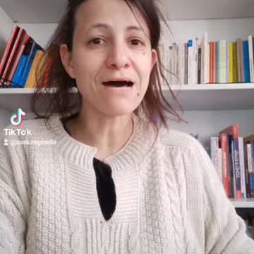 Elly Schlein guerrafondaia (invio armi)