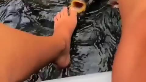 This fish suck my finger 😂