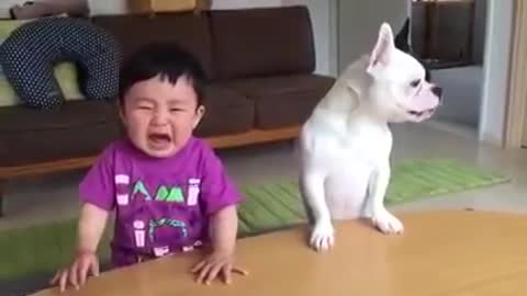 cute baby and dog relationship