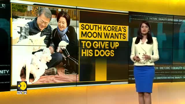 WION Fineprint | Former South Korean President wants to return North Korean puppies