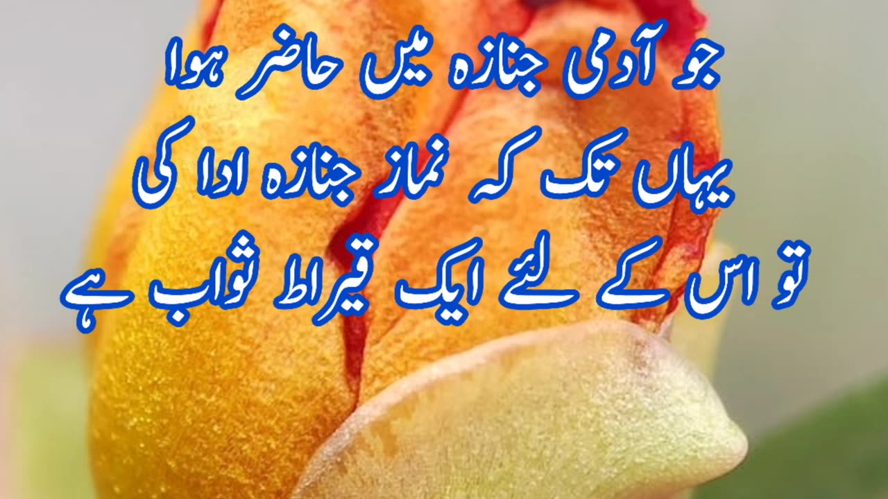 Prophet Muhammad SAW Hadees | hadees e pak | hadees sharif | hadees mubarak