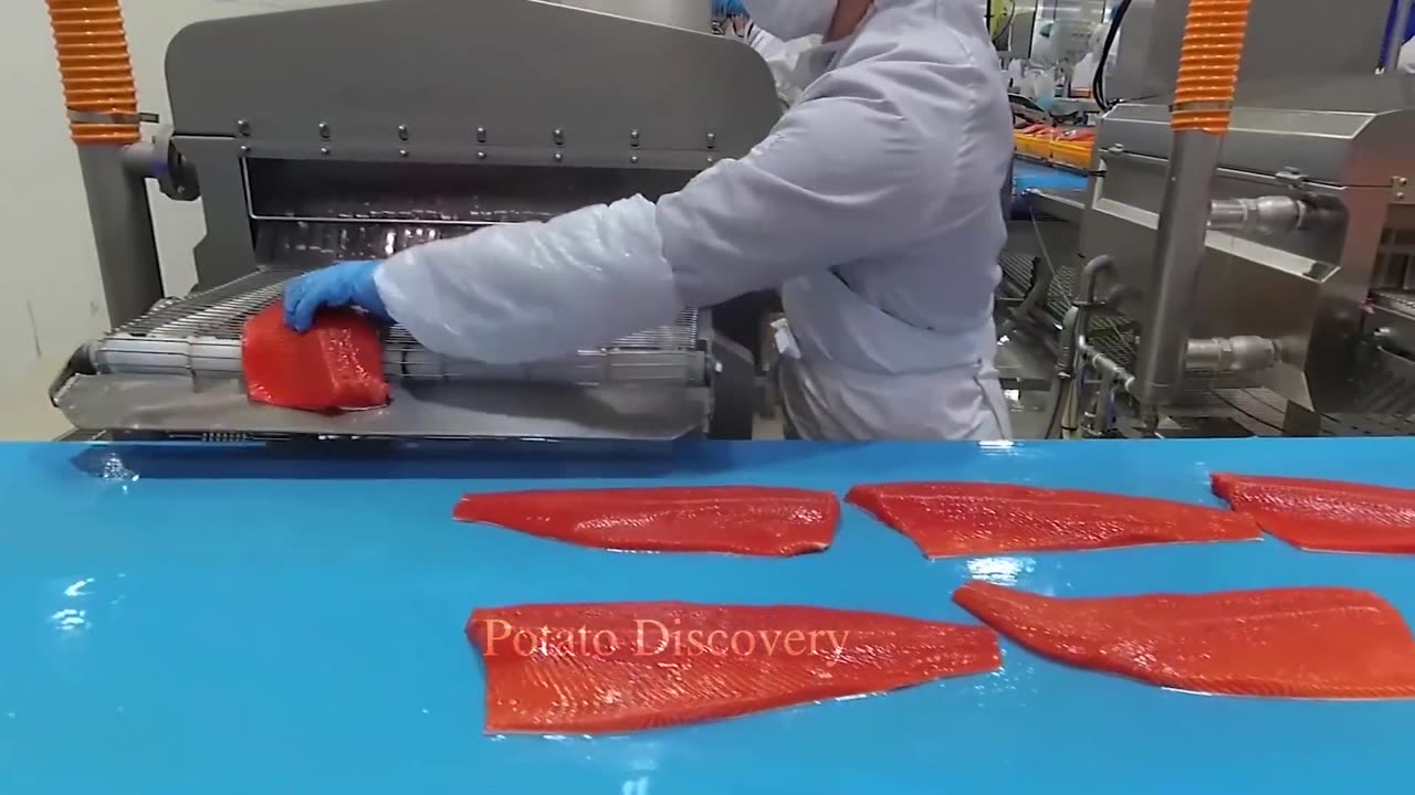 Farming And Harvesting Of Salmon - Smoked Salmon Processing That Are At Another Level