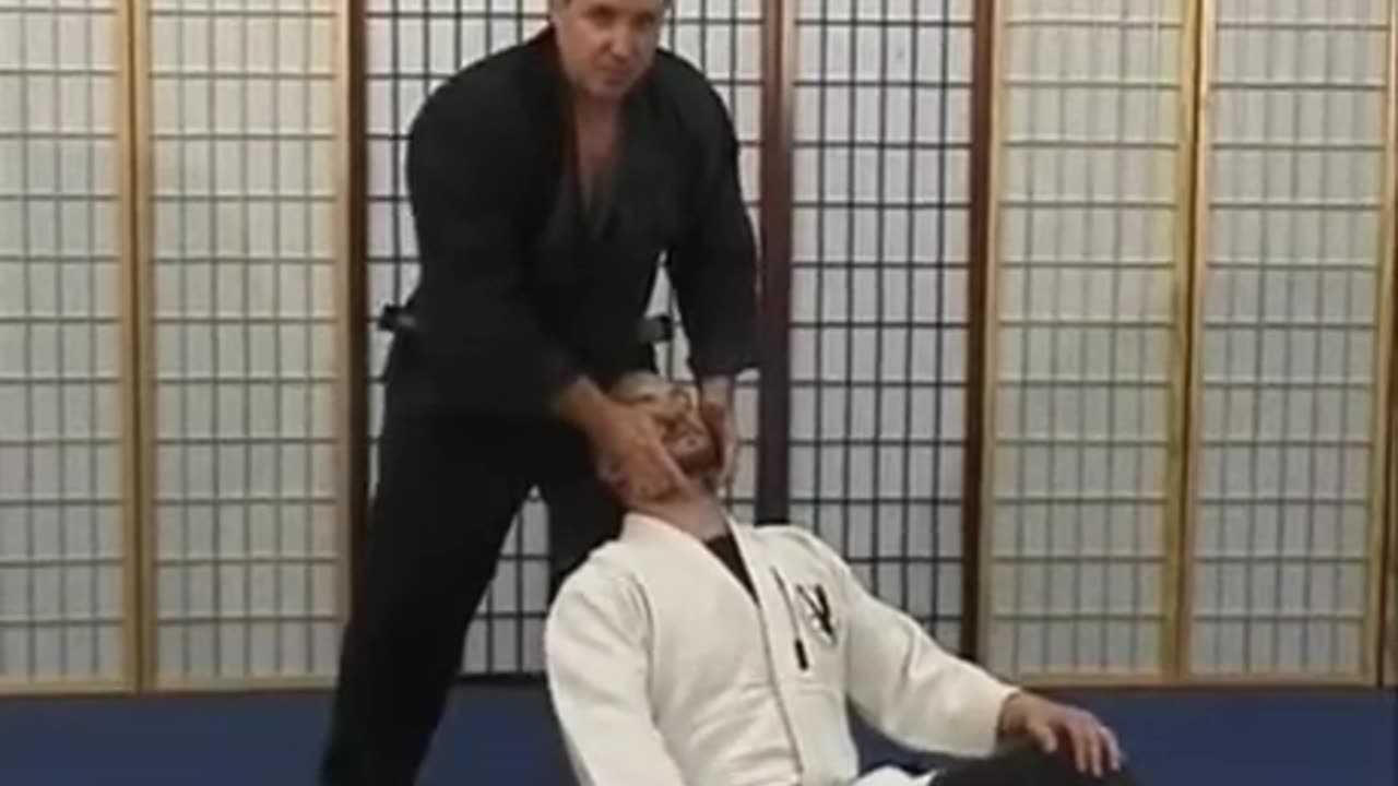 Joe Sheya Traditional Hapkido Volume 2