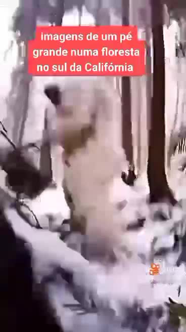 IMAGE OF BIGFOOT IN SOUTHERN CALIFORNIA WATCH THE VIDEO AND SHARE