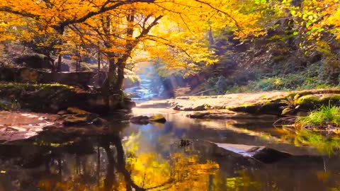 Enchanting Autumn Forests with Beautiful Piano Music