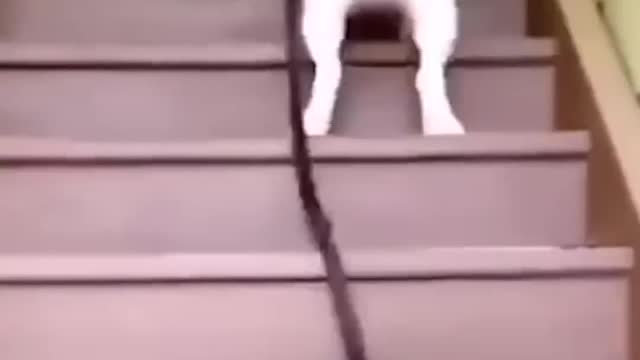 training to catch the postman