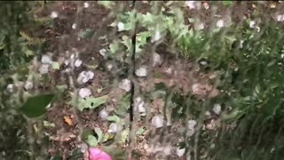 Baseball-Sized Hailstorm in Michigan