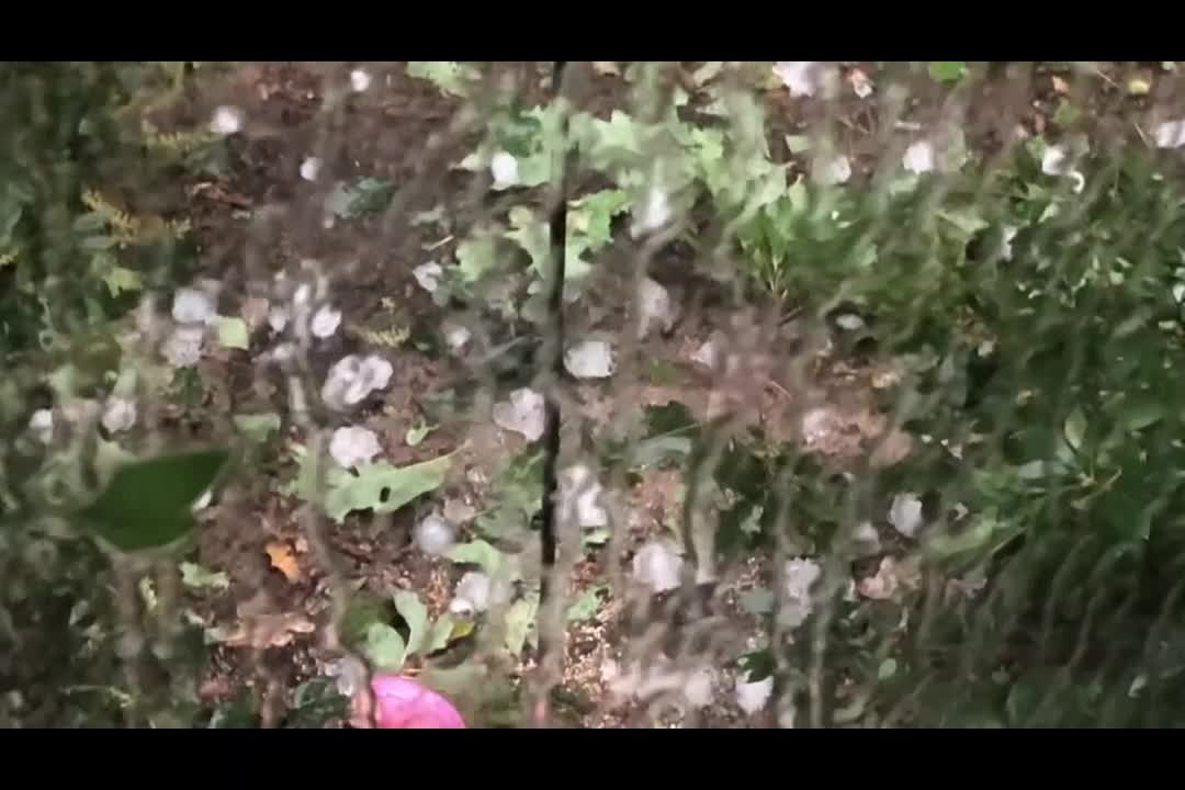 Baseball-Sized Hailstorm in Michigan