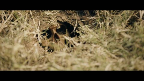 Сокровища Тома Сойера Трейлер (рус.)