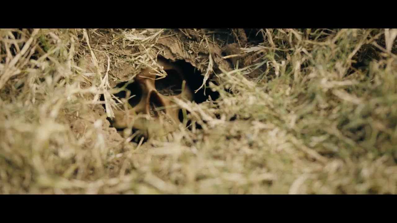 Сокровища Тома Сойера Трейлер (рус.)