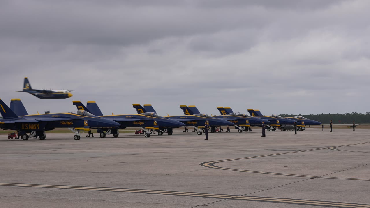 Fat Albert photobombs the Blues