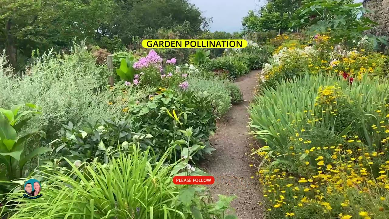 BEAUTIFUL GARDEN AND POLLINATORS - Olana House