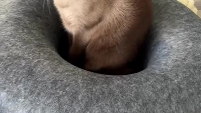 What are you doing in there?😂
