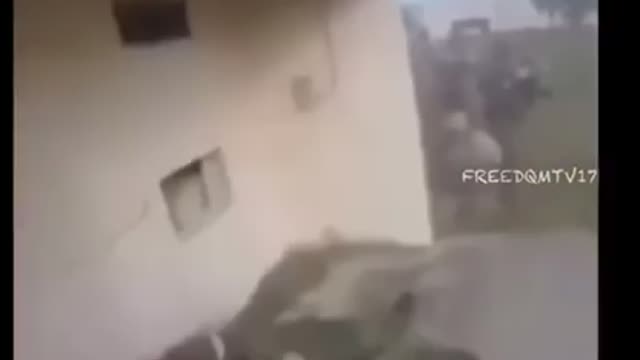 Frens til the end🐸