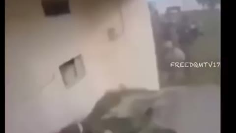 Frens til the end🐸