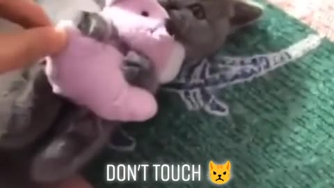 He doesn't want to be touched