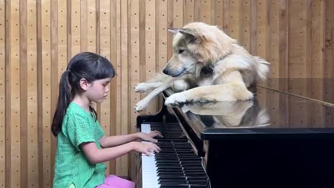 Bach on Piano for Sharky the Dog